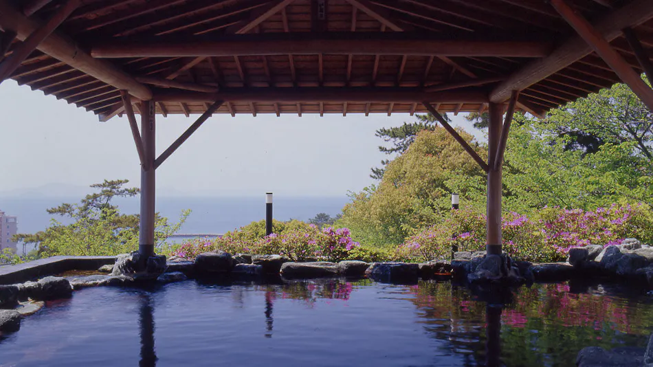 Miya-spa Higaki Hotel