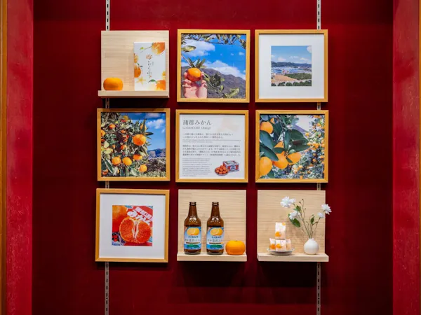 【早割60・結】人気No.1。スペシャル会席「結」25年リニューアル・ラウンジは生ビールも無料