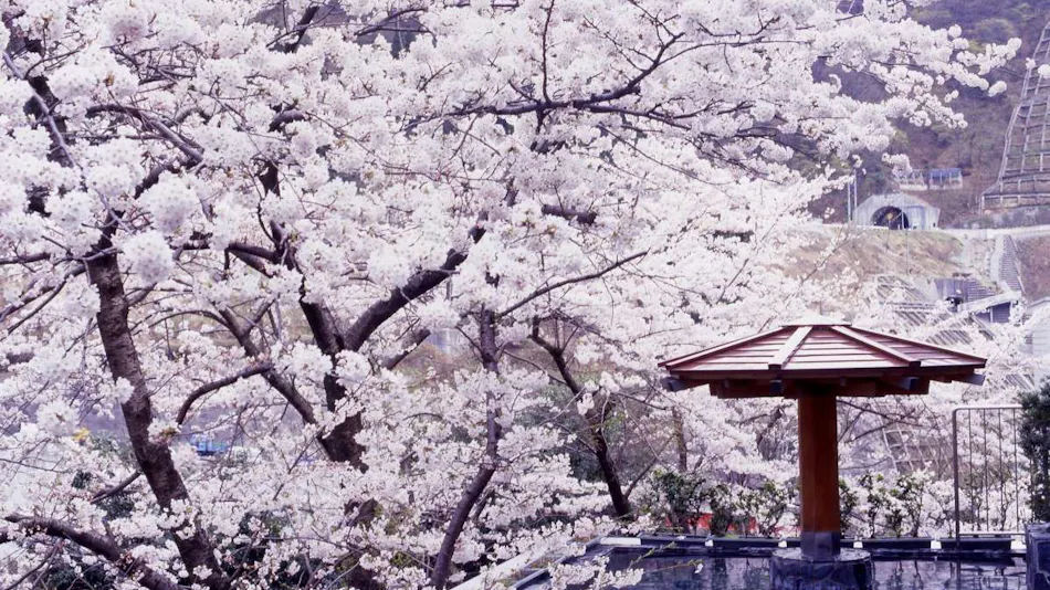 Hotel Kurobe