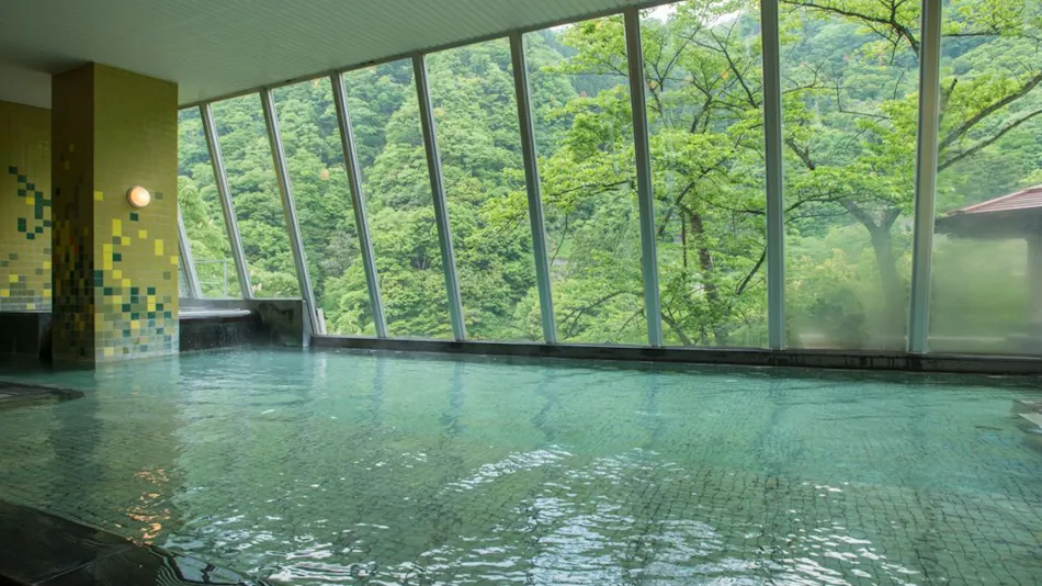 Hotel Kurobe