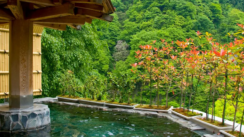 Hotel Kurobe
