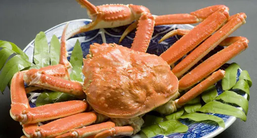 【冬季限定:富山づくし会席】名物を味わい尽くす!~一度の食事でたくさんの「富山」を~