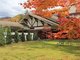 袋田温泉 思い出浪漫館～自然に囲まれた美人の湯～