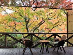 袋田温泉 思い出浪漫館～自然に囲まれた美人の湯～