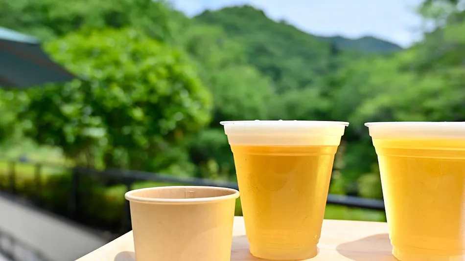 Fukuroda Onsen Omoide Roman-kan