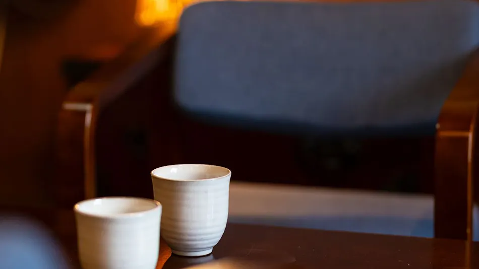 Hotel Casual Euro with Private Hot Spring in Nikko