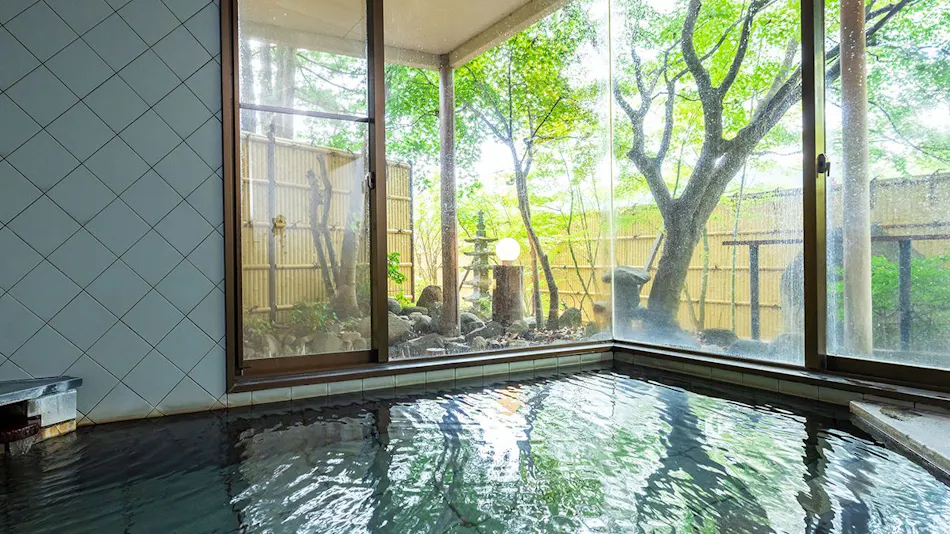 Hotel Casual Euro with Private Hot Spring in Nikko