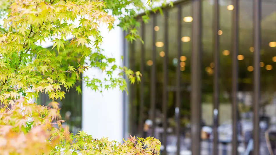 Hotel Casual Euro with Private Hot Spring in Nikko
