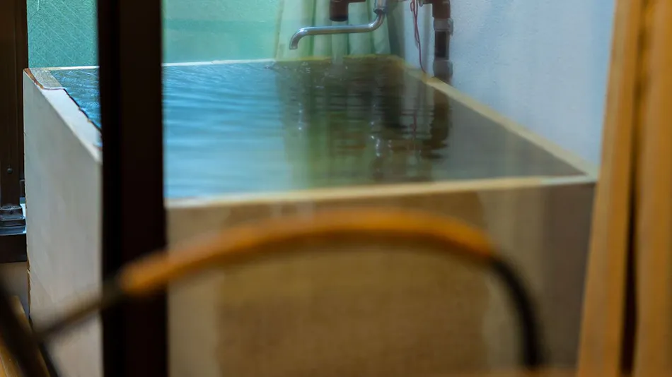 Hotel Casual Euro with Private Hot Spring in Nikko