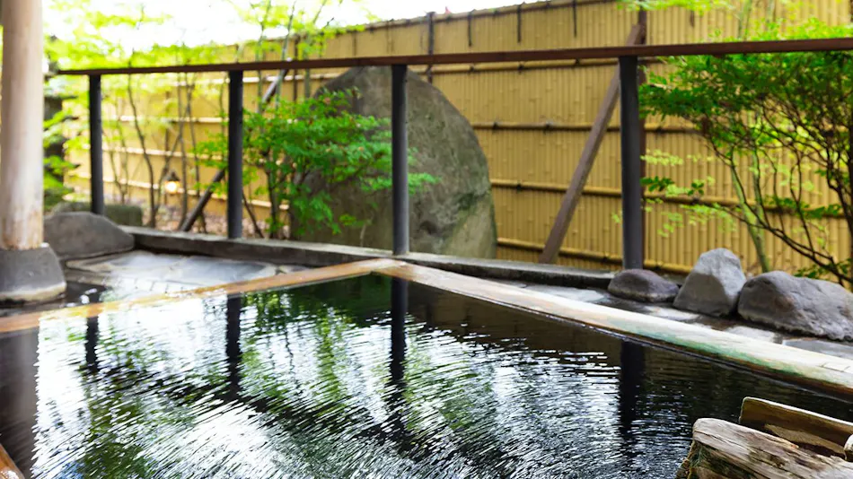 Hotel Casual Euro with Private Hot Spring in Nikko