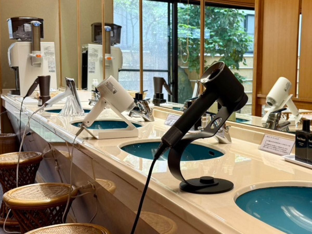 ドライヤーバイキング