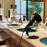 ドライヤーバイキング