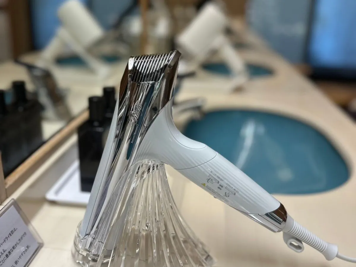 ドライヤーバイキング