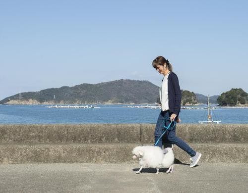 เดินเล่นชมทะเล