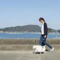 เดินเล่นชมทะเล