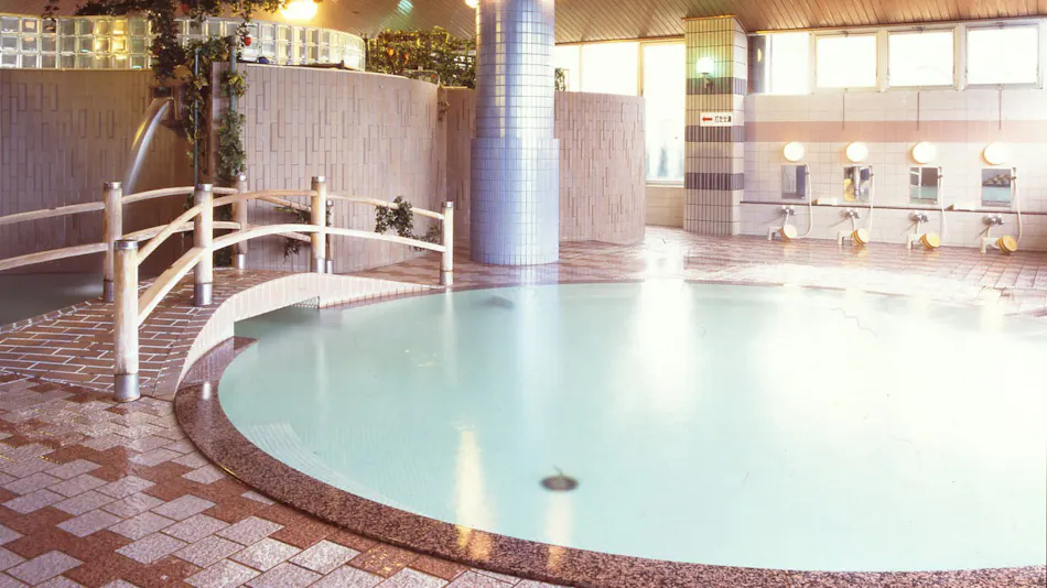 Tsugaru Inn Nandai Onsen Hotel Apple Land