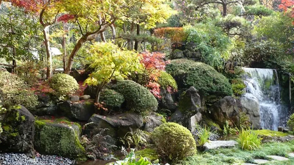 Echigo no Oyado Wakatake