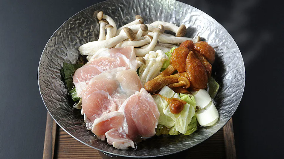 Echigo no Oyado Wakatake