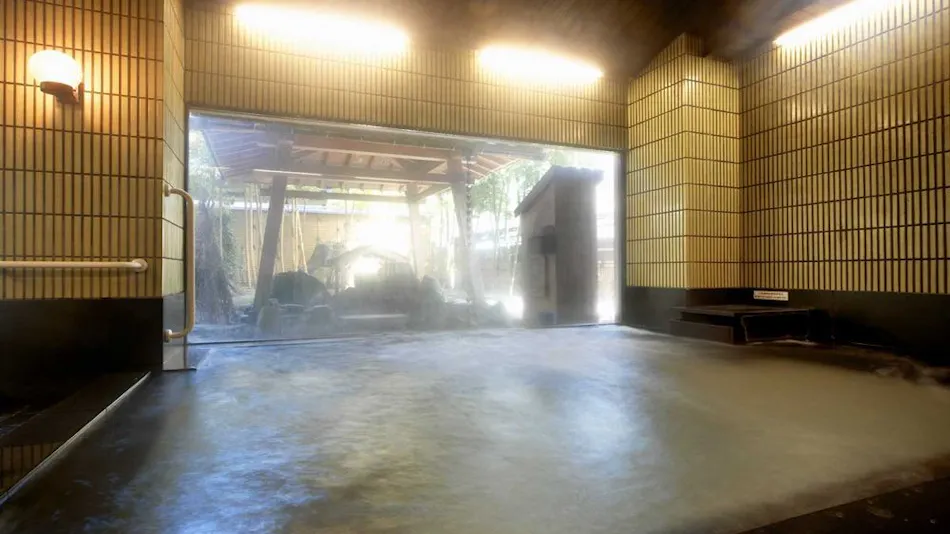 Echigo no Oyado Wakatake