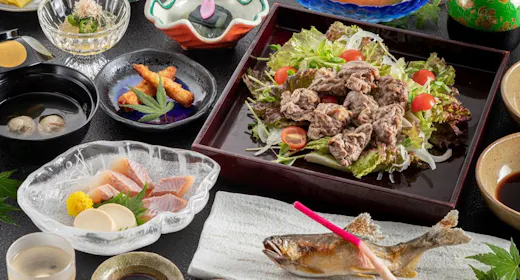 【源泉かけ流しの宿】~鳳来牛や山里料理と昭和の風情を楽しむ~はづ別館スタンダードプラン