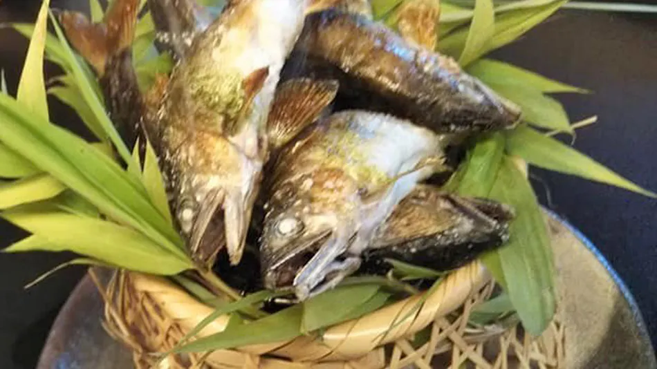 Ryotei, Oyado Kokushiya