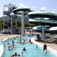 龟冈运动公园游泳池(昵称:Kamepu)