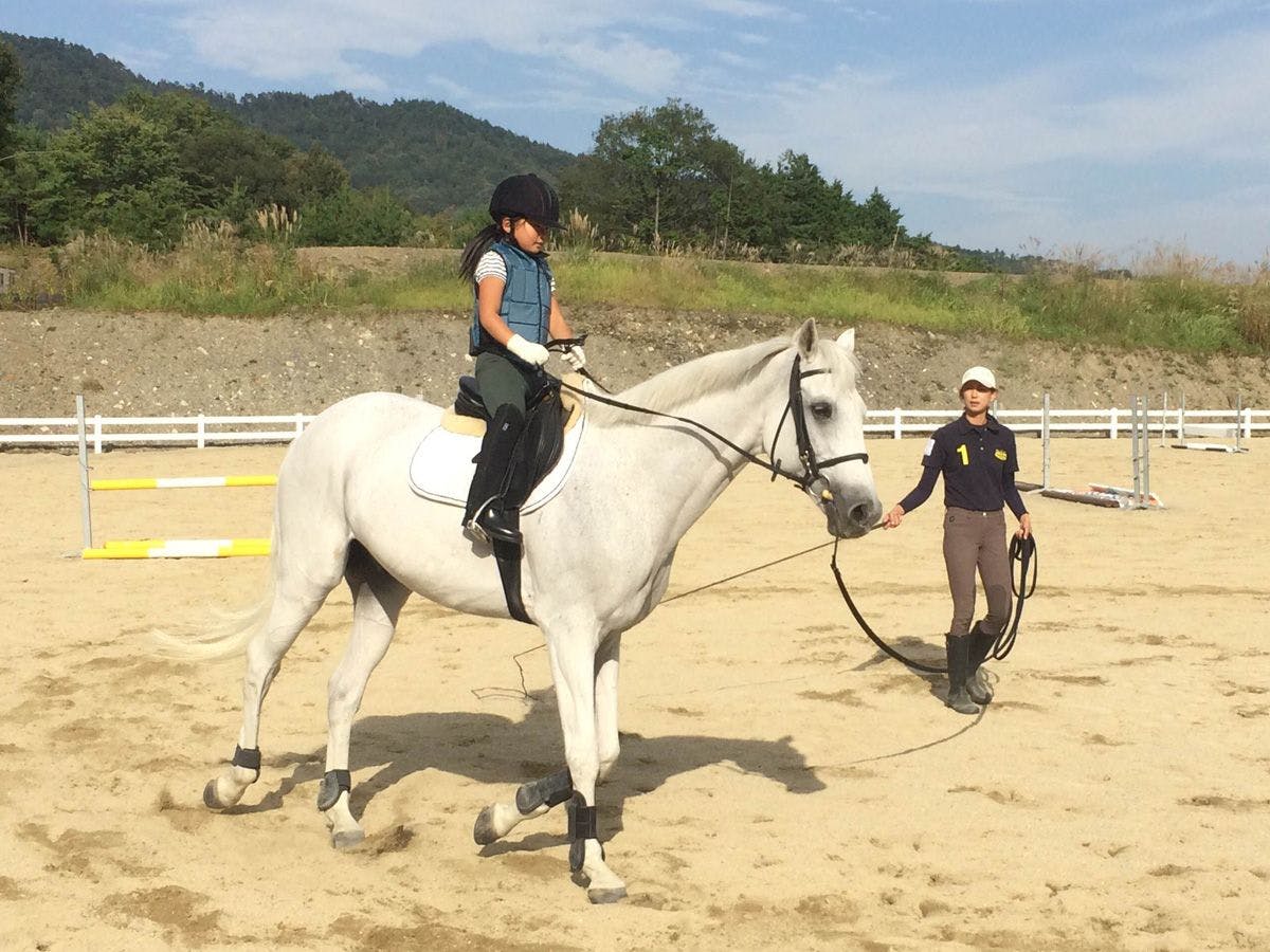 骑马体验（图片）