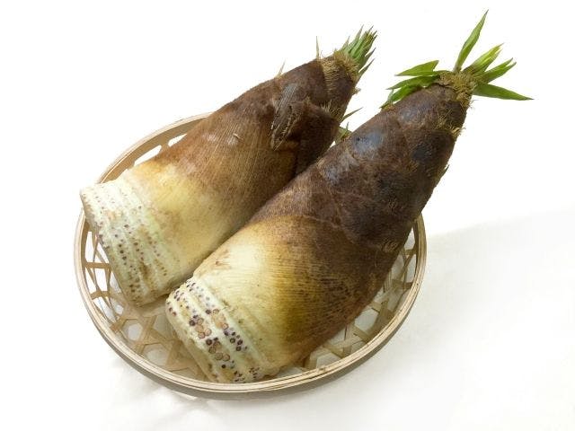ペットと泊まる宿　CARO FORESTA 伊豆高原 Cuore