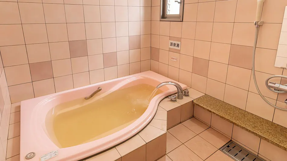 Nandogo Onsen Hotel Teiregi-kan Todei