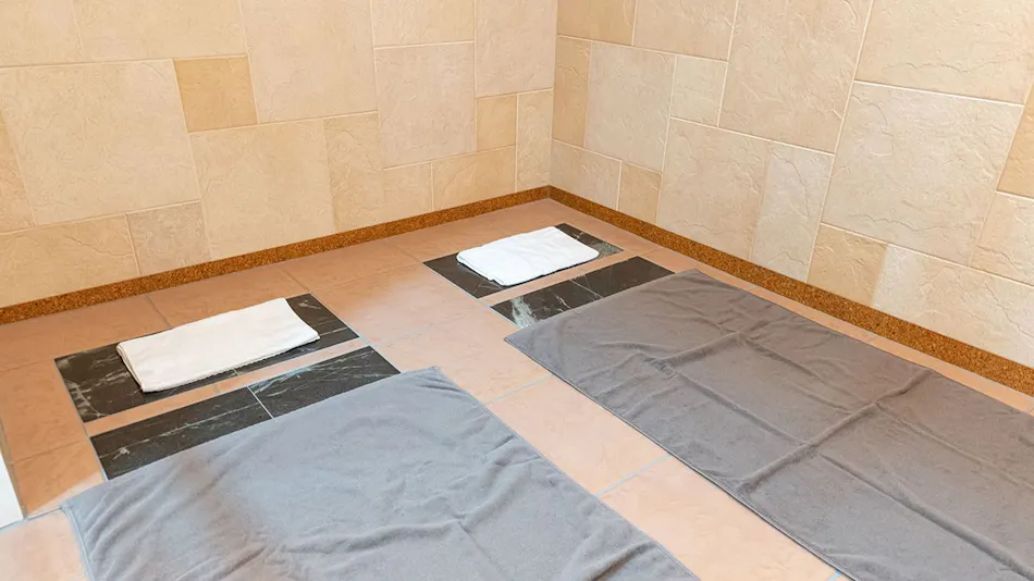 Nandogo Onsen Hotel Teiregi-kan Todei