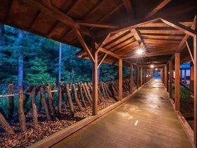 そのぎ茶温泉里山の湯宿　つわぶきの花