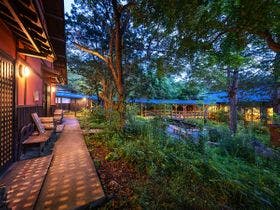 そのぎ茶温泉里山の湯宿　つわぶきの花