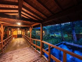 そのぎ茶温泉里山の湯宿　つわぶきの花