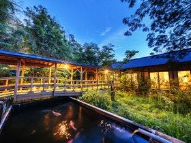 そのぎ茶温泉里山の湯宿　つわぶきの花