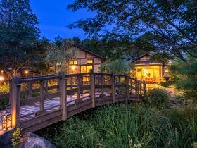 そのぎ茶温泉里山の湯宿　つわぶきの花