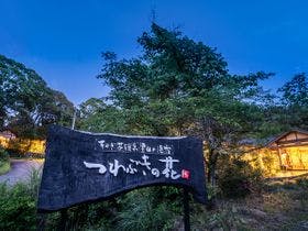 そのぎ茶温泉里山の湯宿　つわぶきの花