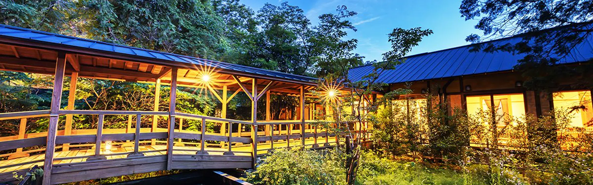 そのぎ茶温泉里山の湯宿 つわぶきの花