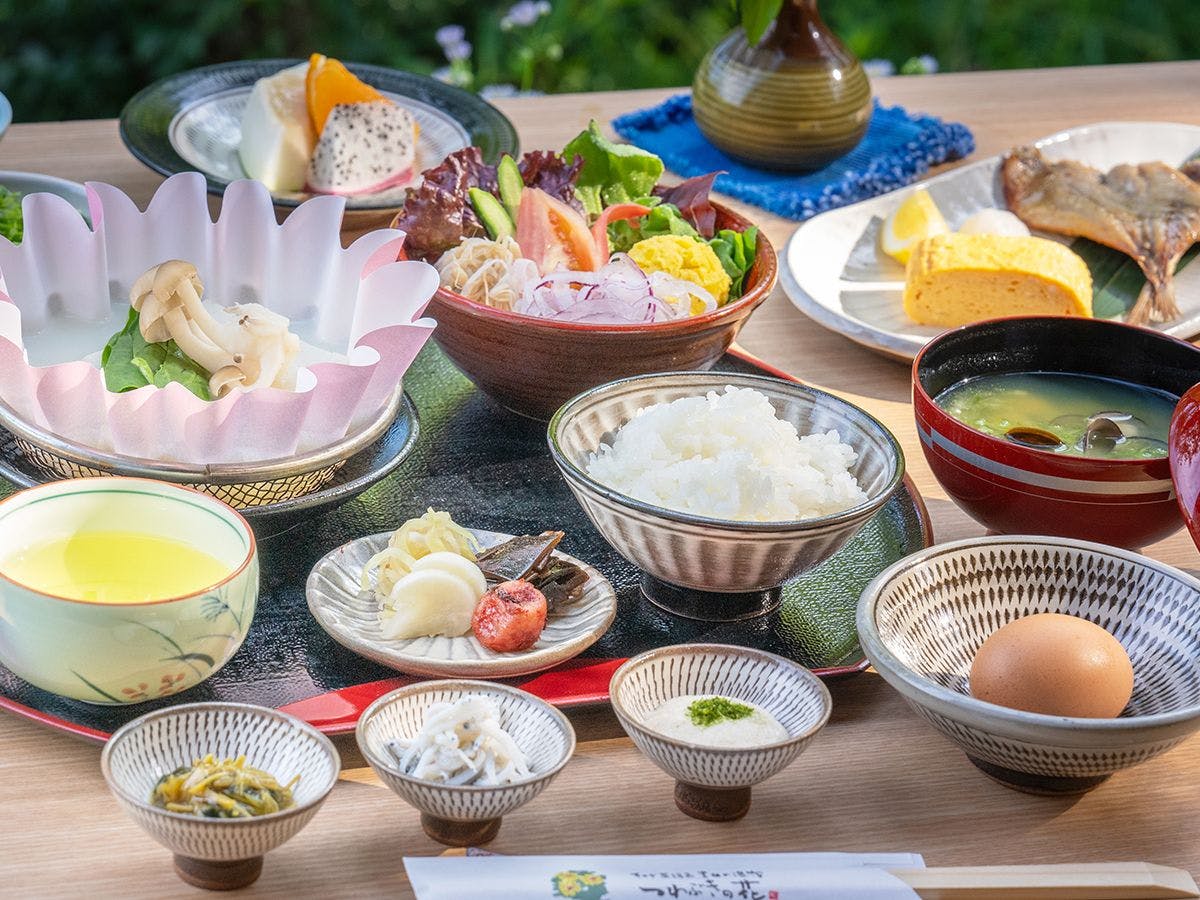 そのぎ茶温泉里山の湯宿　つわぶきの花