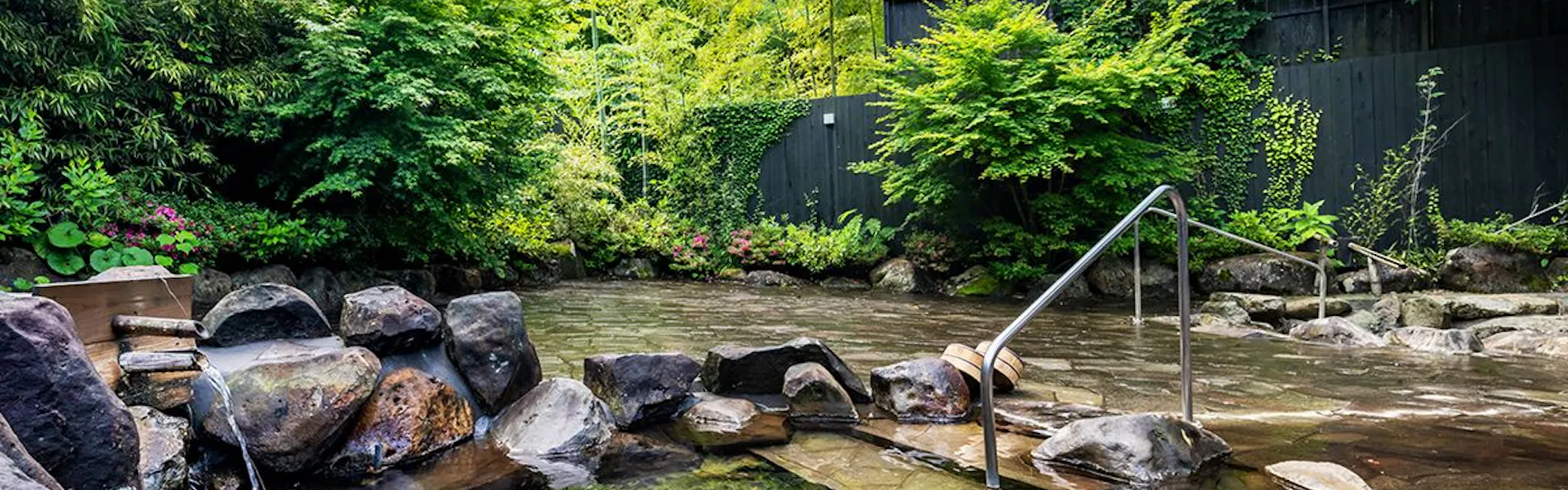 そのぎ茶温泉里山の湯宿 つわぶきの花