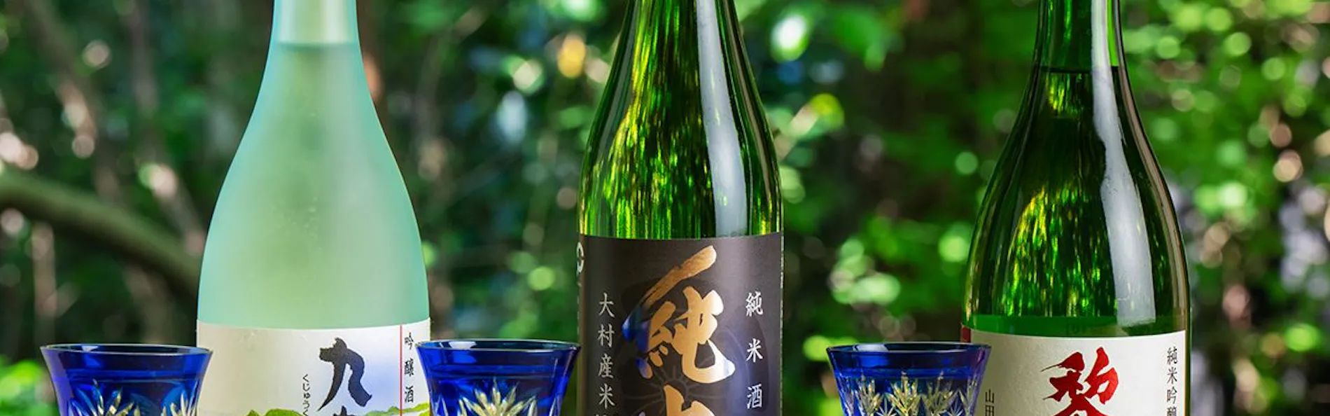 そのぎ茶温泉里山の湯宿 つわぶきの花