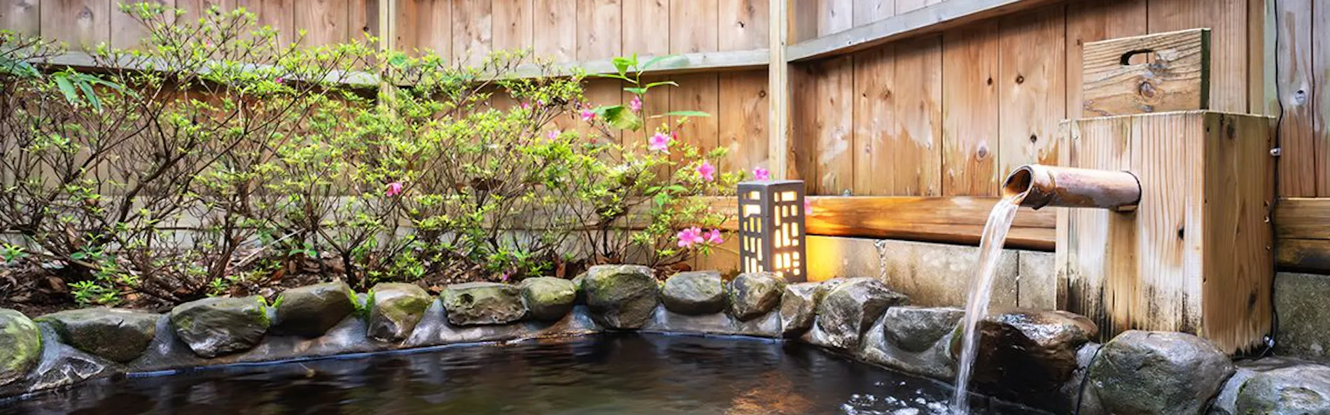 そのぎ茶温泉里山の湯宿 つわぶきの花