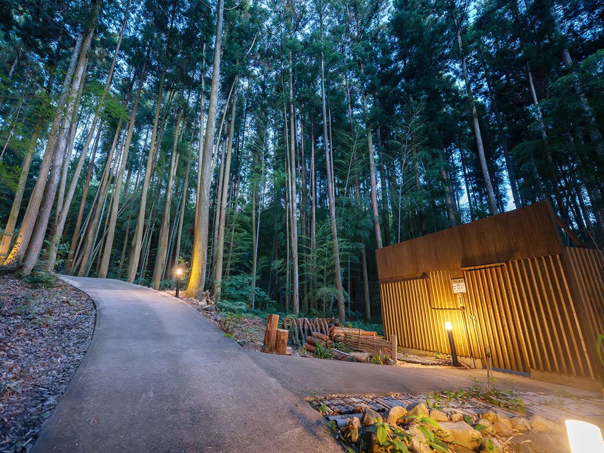 そのぎ茶温泉里山の湯宿　つわぶきの花