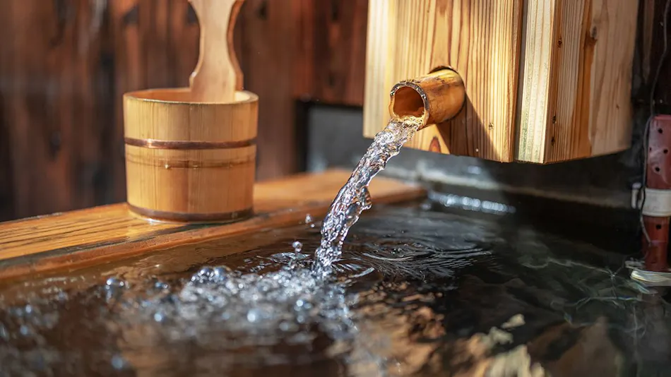 Sonogi Tea Onsen Satoyama no Yuyado Tsuwabuki no Hana