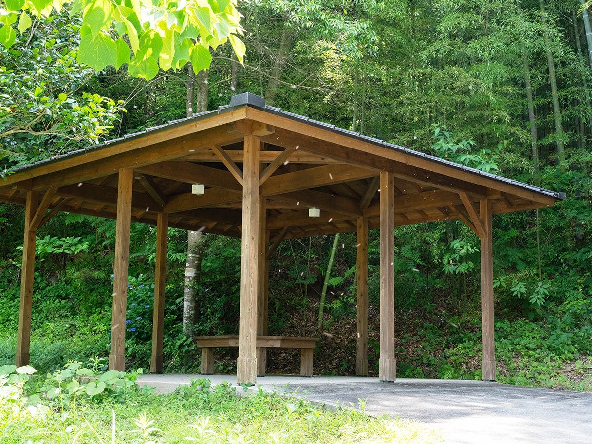 そのぎ茶温泉里山の湯宿　つわぶきの花