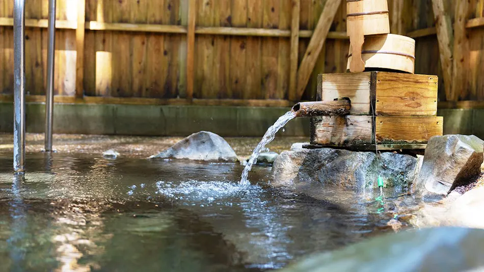 Sonogi Tea Onsen Satoyama no Yuyado Tsuwabuki no Hana