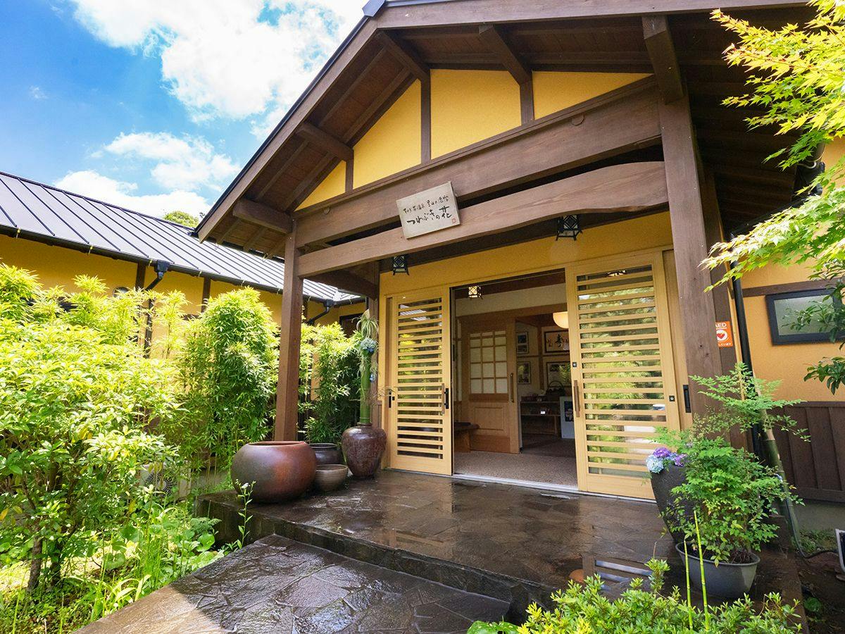 そのぎ茶温泉里山の湯宿　つわぶきの花