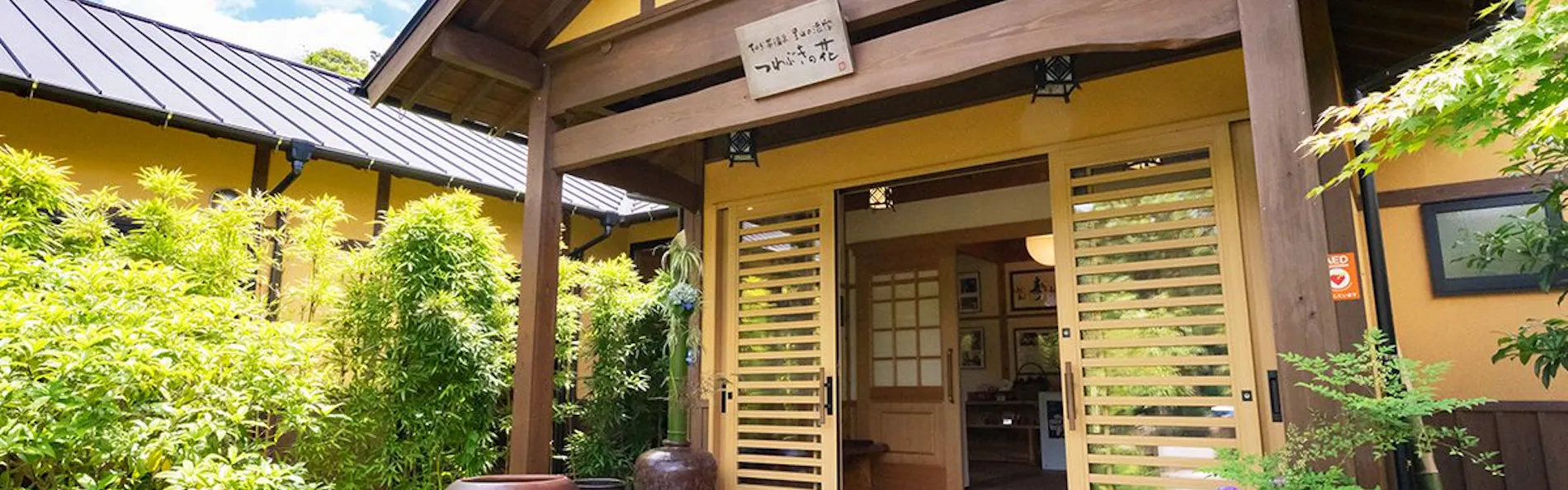 そのぎ茶温泉里山の湯宿 つわぶきの花