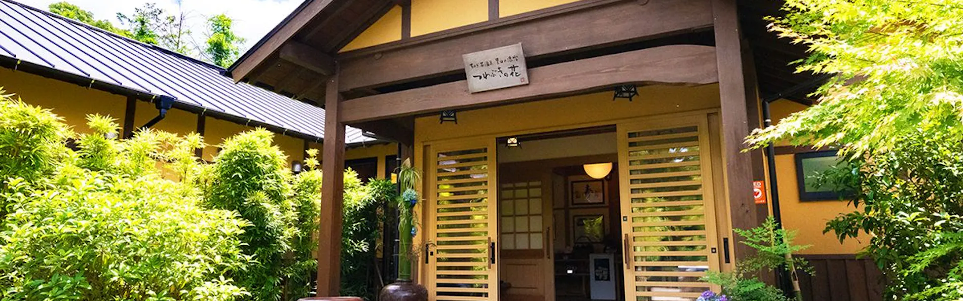 そのぎ茶温泉里山の湯宿 つわぶきの花
