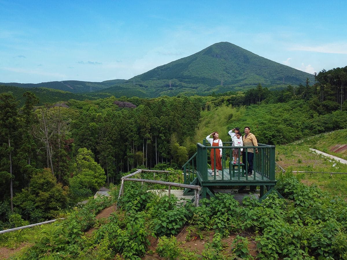 そのぎ茶温泉里山の湯宿　つわぶきの花