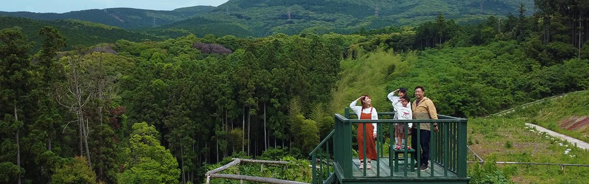 そのぎ茶温泉里山の湯宿 つわぶきの花